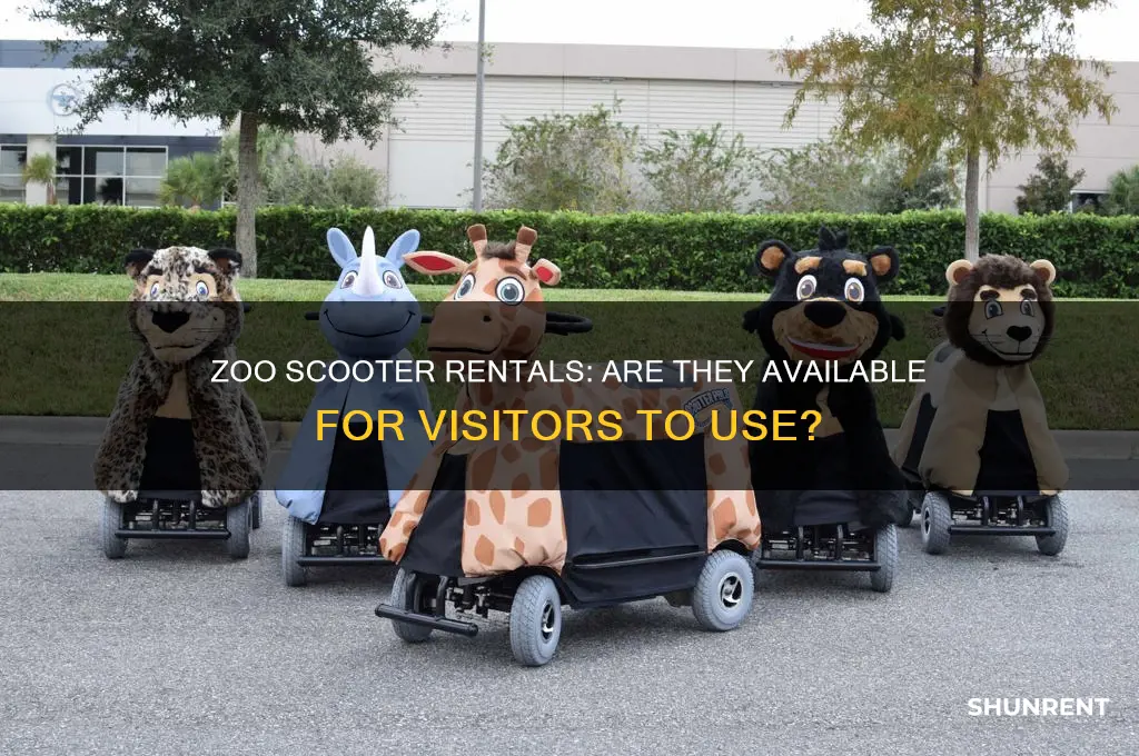 does the zoo have scooters to rent