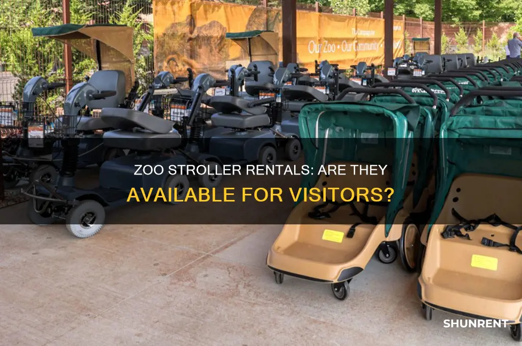does the zoo have strollers to rent