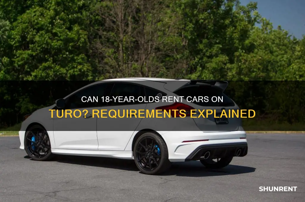 does turo rent to 18 year olds
