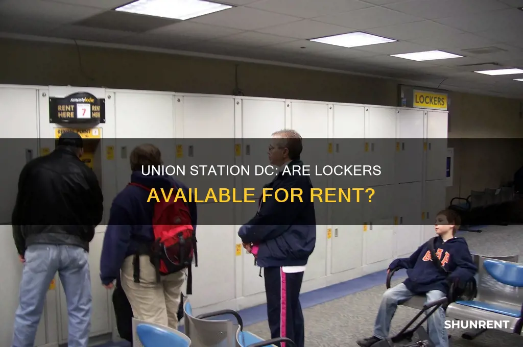 does union station dc have locker for rent
