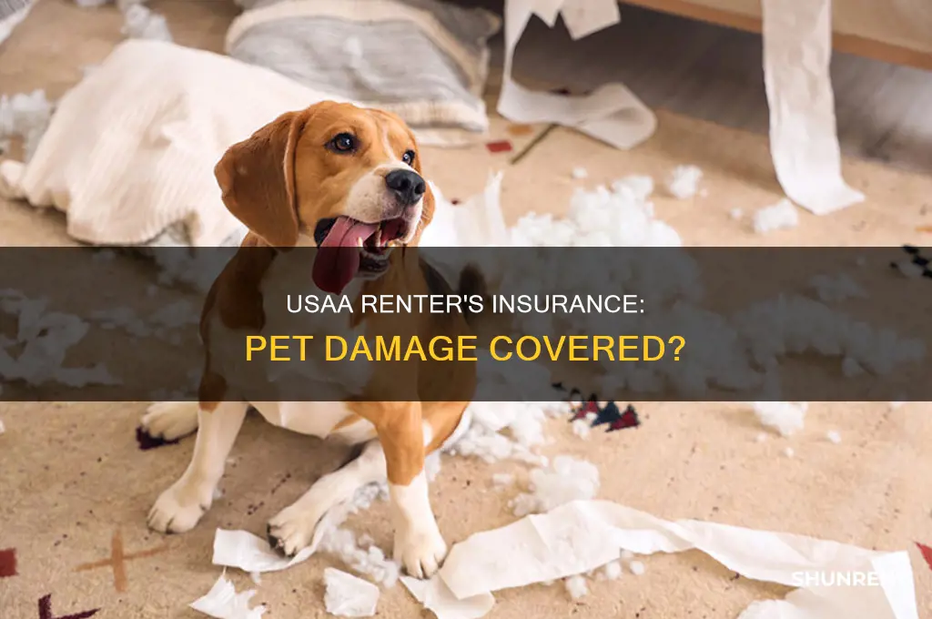 does usaa renter