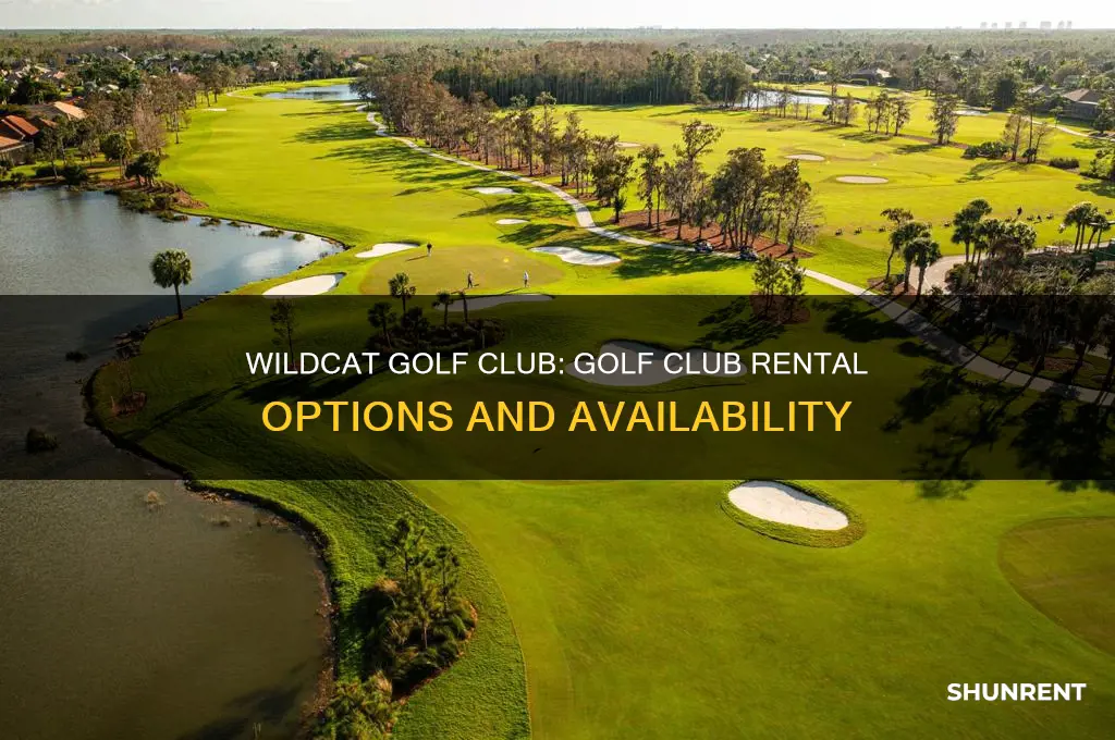 does wildcat golf club rent golf clubs