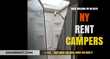 Wilkins RV: Camper Rental Options in Bath, NY