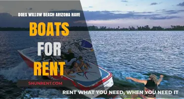 Boat Rentals at Willow Beach, Arizona: What You Need to Know