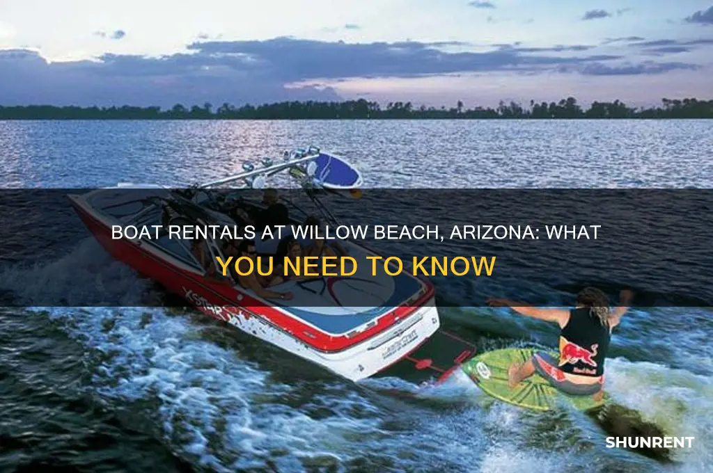 does willow beach arizona have boats for rent