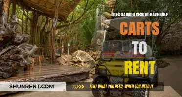 Golf Carts at Xanadu Resort: Rent or Own?