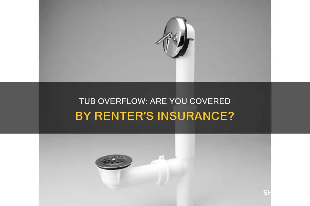 does your renter