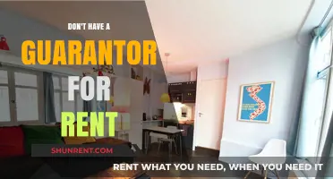 No Guarantor? No Problem: Renting Solutions for Independent Tenants