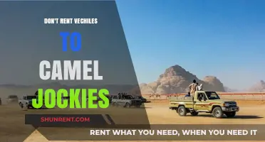 Avoid Renting Vehicles to Camel Jockeys: A Risky Business Decision