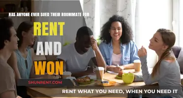 Roommate Rent Disputes: Can You Sue and Win? Real Cases Explored
