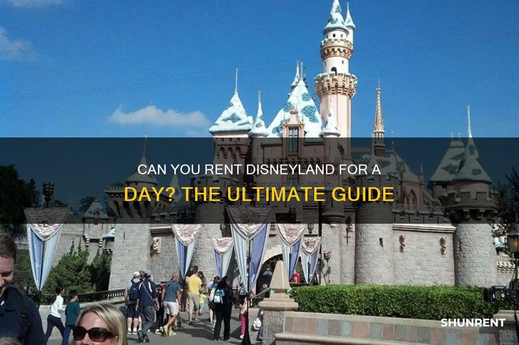 has anyone rented disneyland for a day