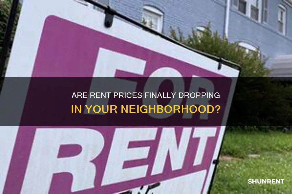 has rent prices gone down in my area