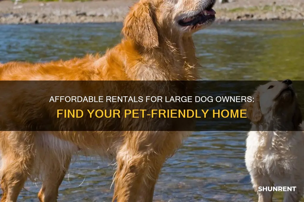 have large dogs and need a cheap placeto rent