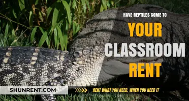 Renting Reptiles: Bringing Scaly Classmates to Your Classroom