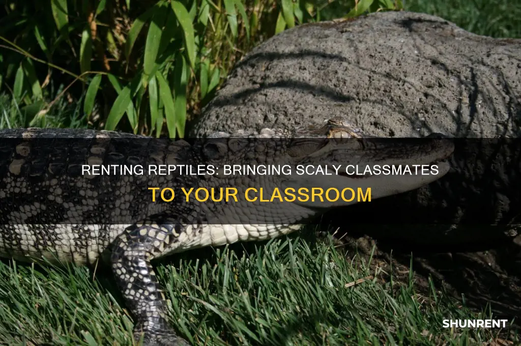 have reptiles come to your classroom rent