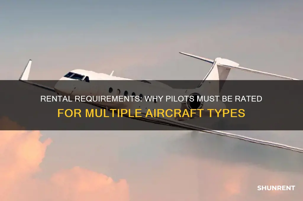 have to be rated in different planes to rent