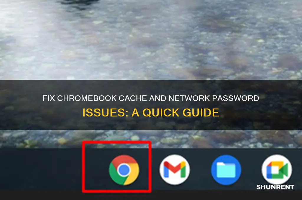 have to clear cache and renter network password on chromebook