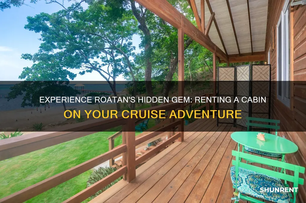 have you rented a cabin roatan cruise