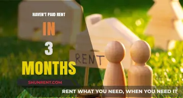 Struggling to Pay Rent? How to Handle 3 Months of Missed Payments