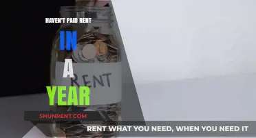A Year Without Rent: Navigating Financial Struggles and Finding Solutions