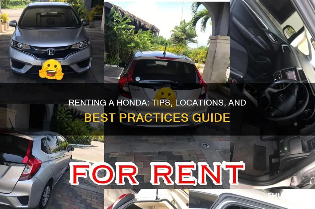 how and where to rent a honda