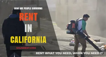 Surviving California Rent: Strategies for Affordability in a High-Cost State