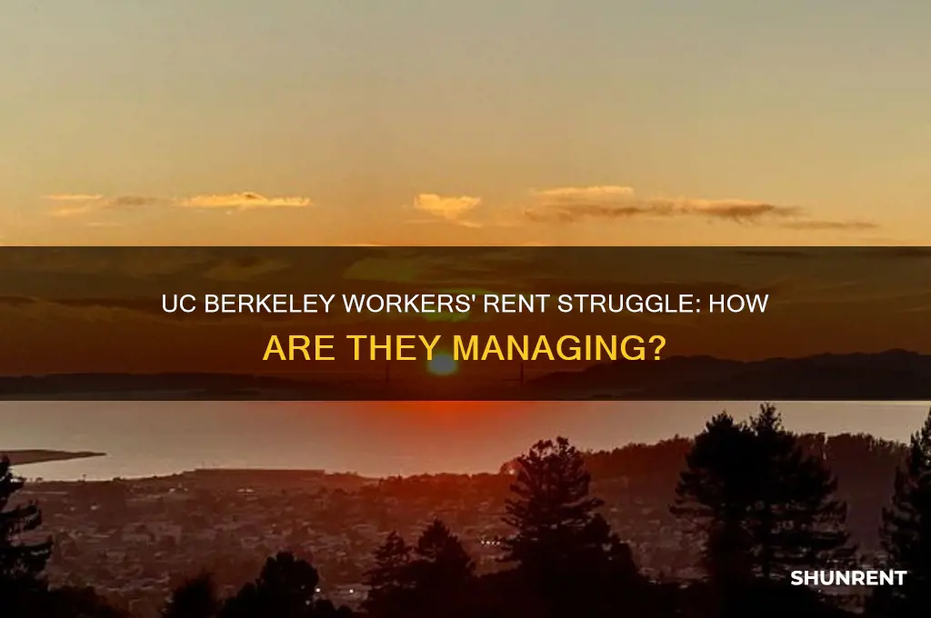 how are people who work at uc berkeley affording rent