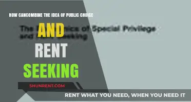 Public Choice Meets Rent Seeking: Navigating Policy and Special Interests
