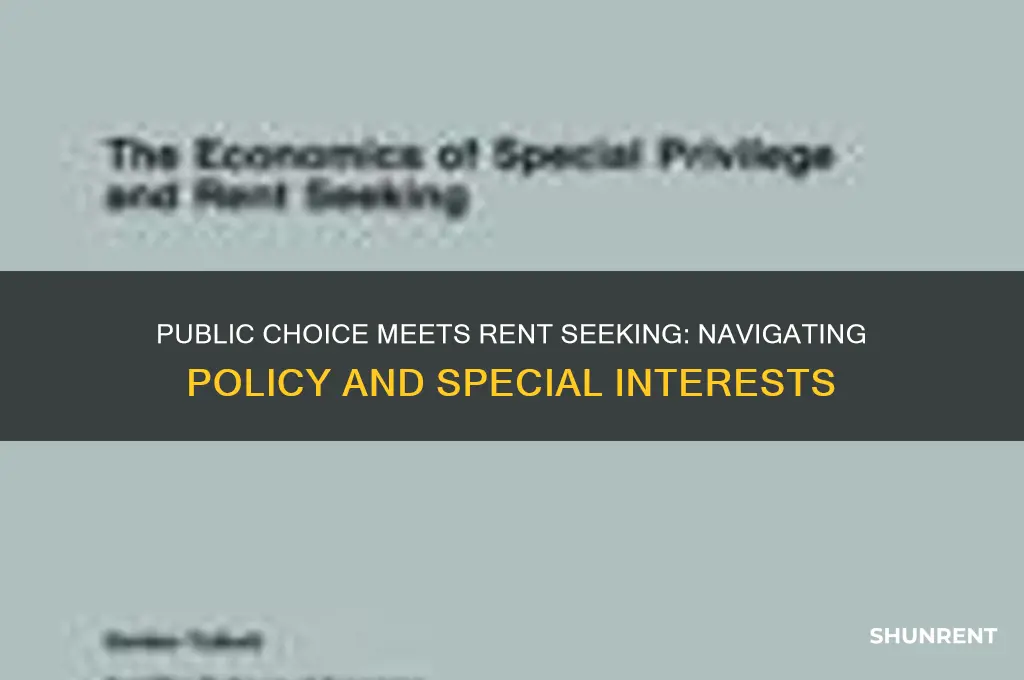 how cancombine the idea of public choice and rent seeking