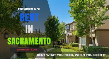 Pet Rent in Sacramento: How Common is This Extra Fee?