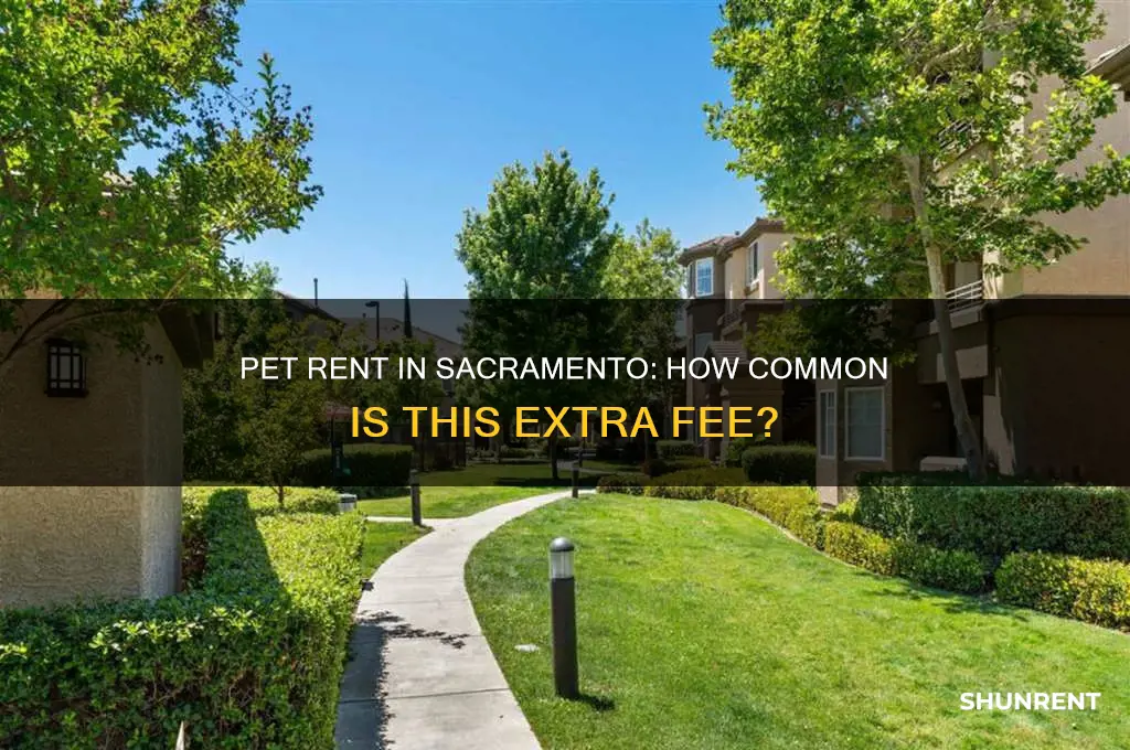how common is pet rent in sacramento