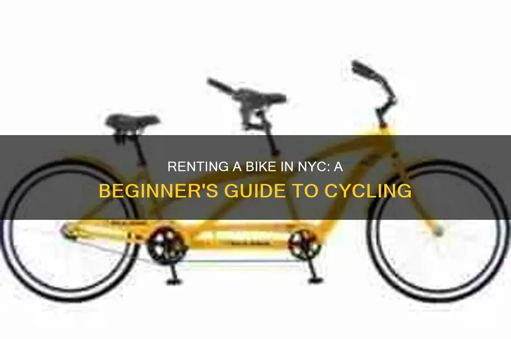 how di i rent a bike in new york