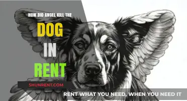 Angel's Tragic Act: The Dog's Death in Rent Explained