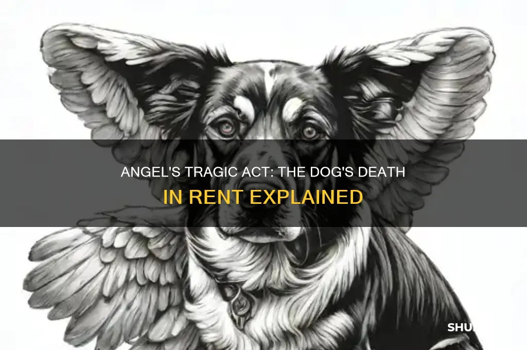 how did angel kill the dog in rent