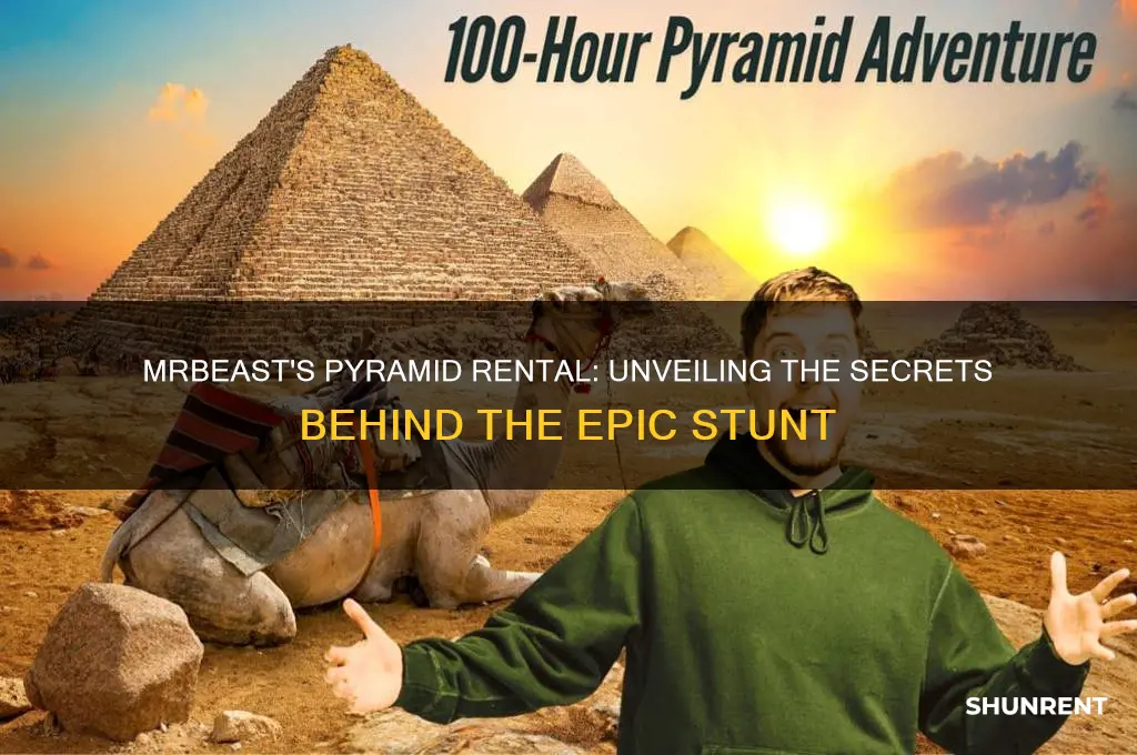 how did mr beast rent the pyramids