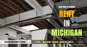 Renting a Server in Michigan: Costs, Providers, and Key Considerations