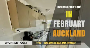 Renting in Auckland During February: Challenges and Tips for Success