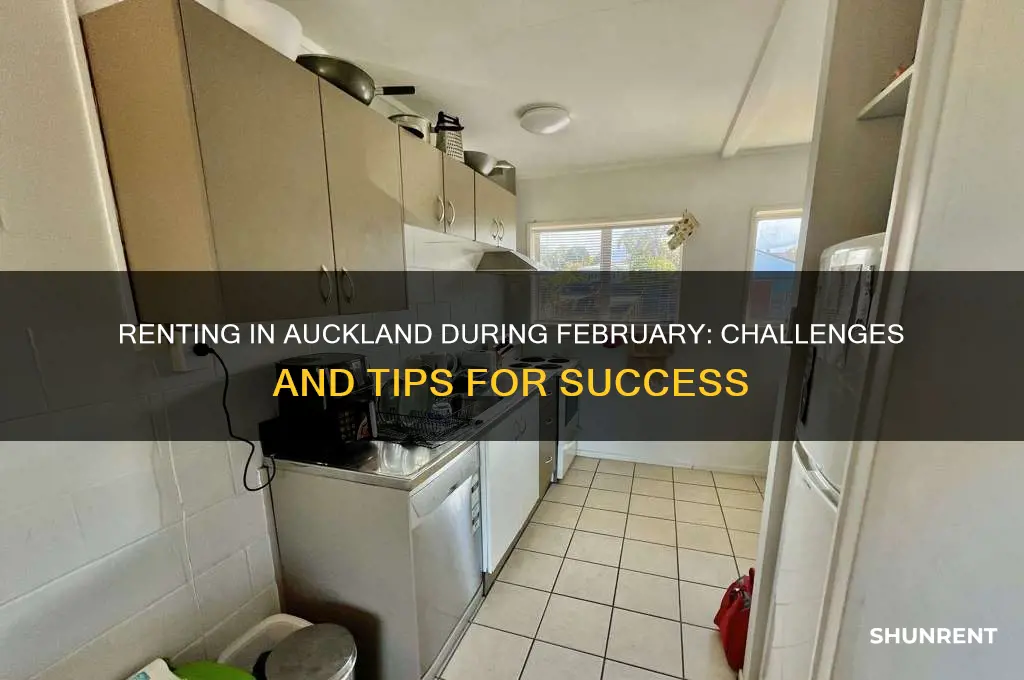 how difficult is it to rent in february auckland
