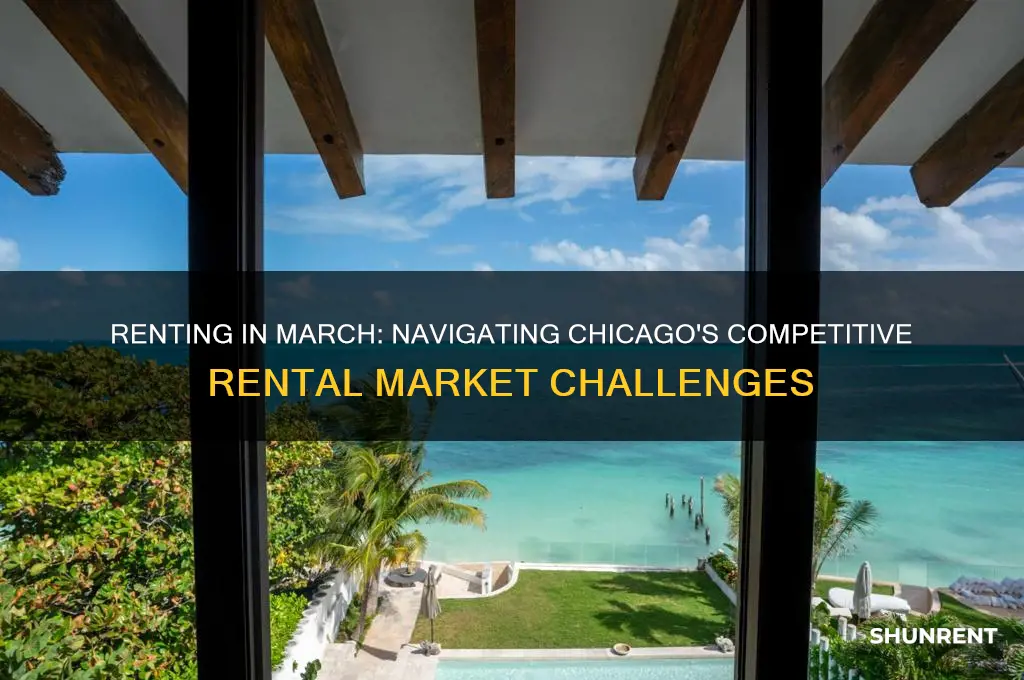 how diffifcult is it to rent in march chicago