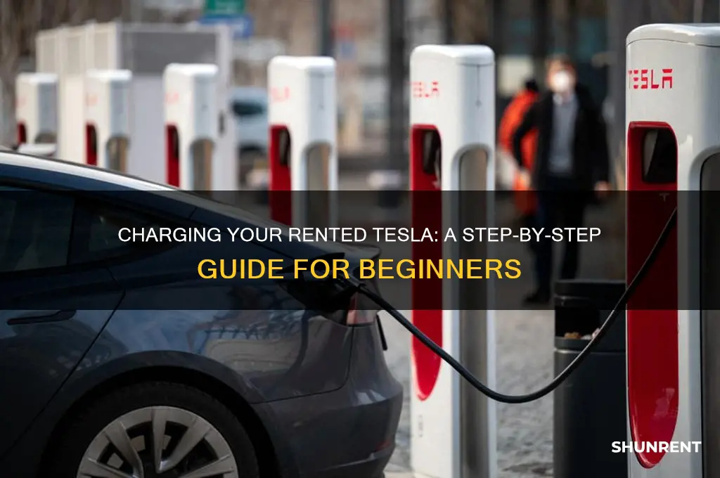 how do i charge a rented tesla