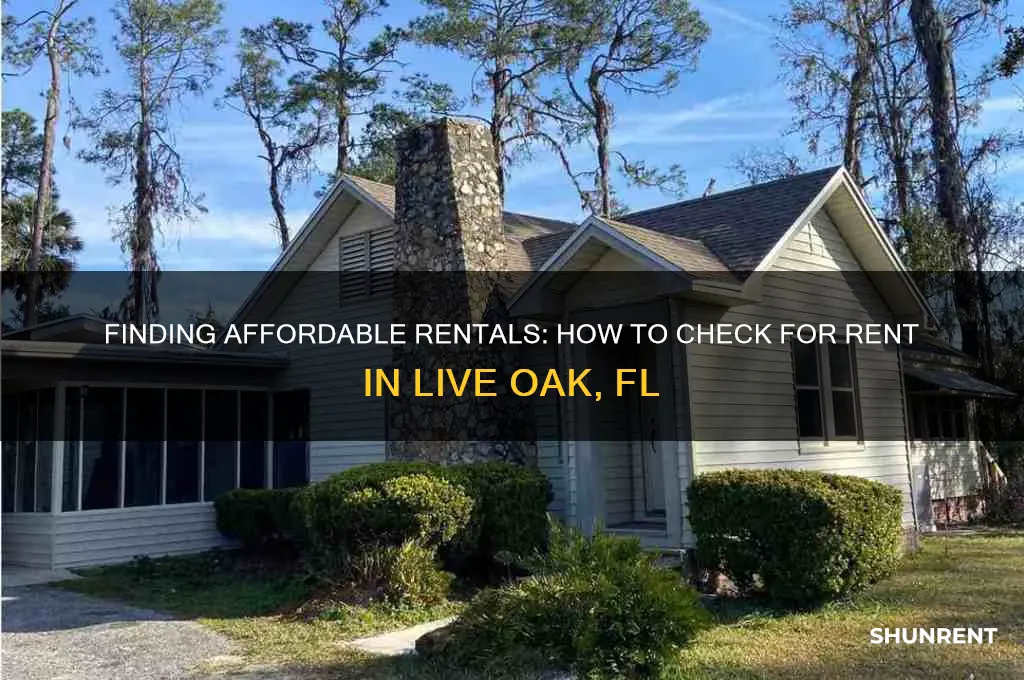 how do i check for rent in liveoak fl