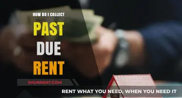 Effective Strategies for Collecting Past Due Rent: A Landlord's Guide