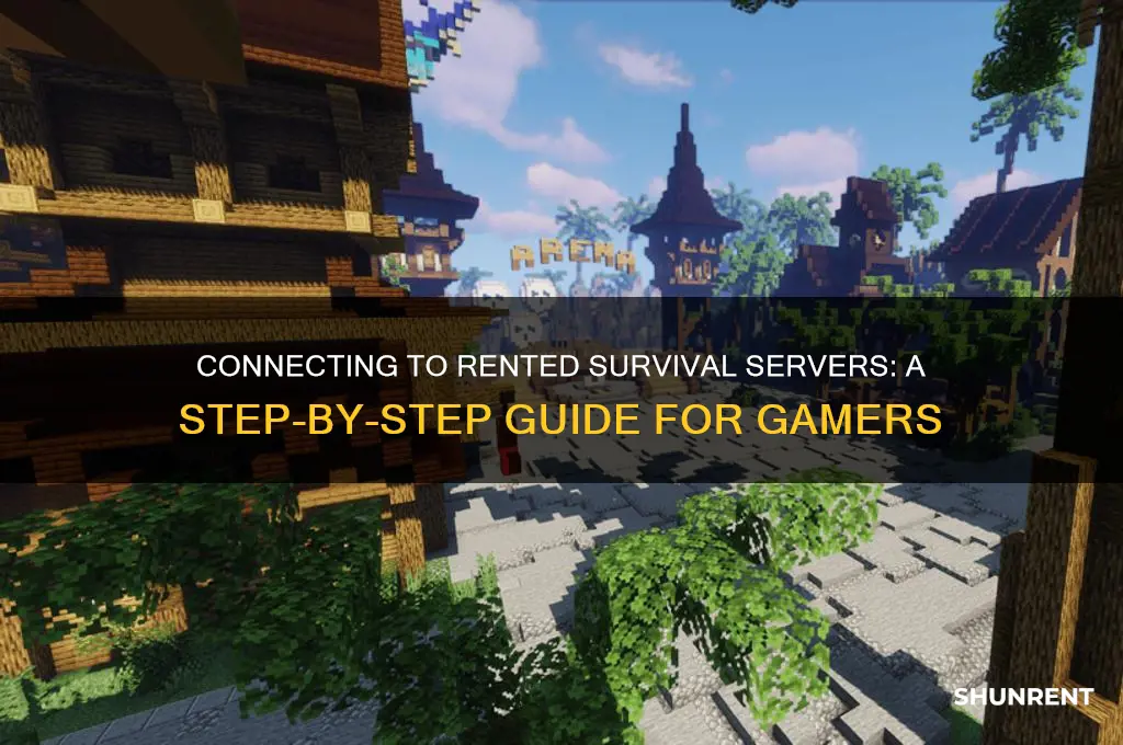 how do i connect to a rented survival servers