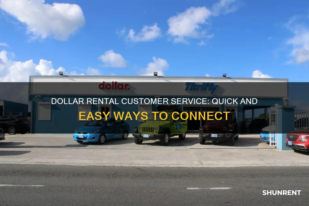 how do i contact dollar rental customer service