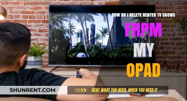 How to Remove Rented TV Shows from Your iPad Easily