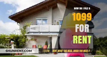 Filing a 1099 for Rental Income: A Step-by-Step Guide