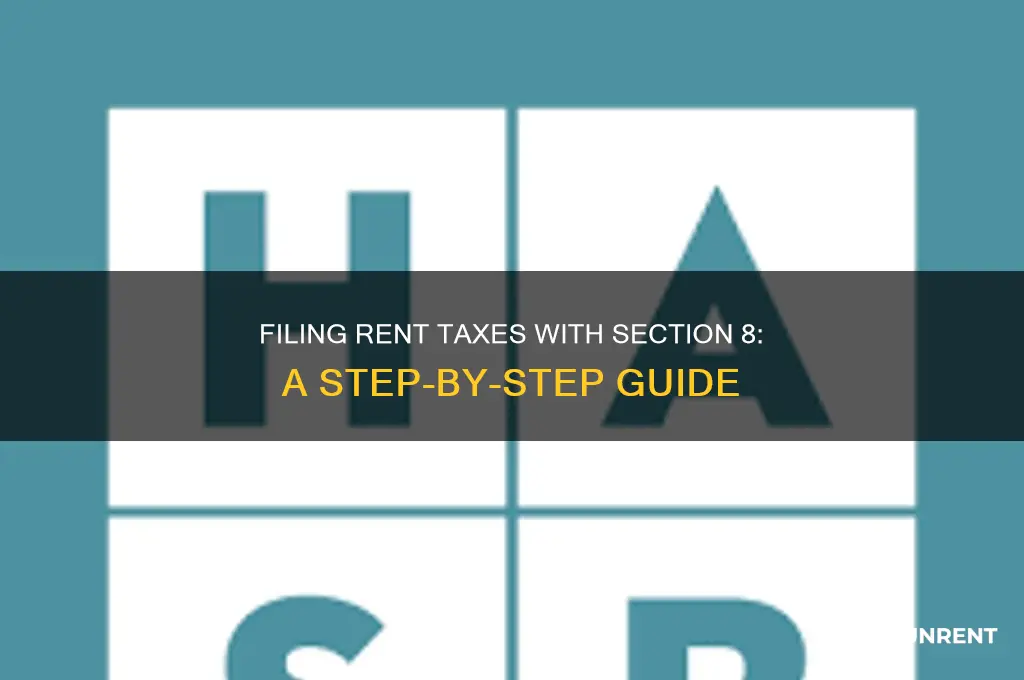 how do i file rent with section 8 taxes