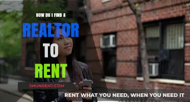 How to Find the Perfect Realtor for Your Rental Search