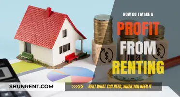 Maximizing Rental Profits: Strategies for Landlords to Boost Income