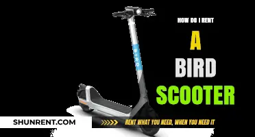 Renting a Bird Scooter: A Step-by-Step Guide for Beginners